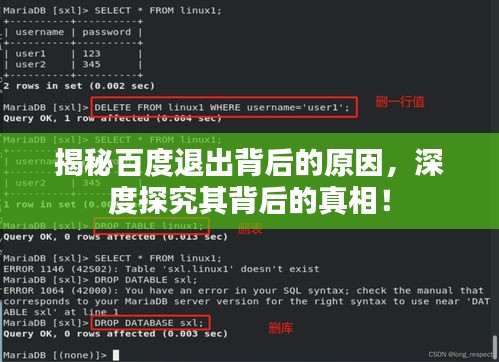 揭秘百度退出背后的原因，深度探究其背后的真相！