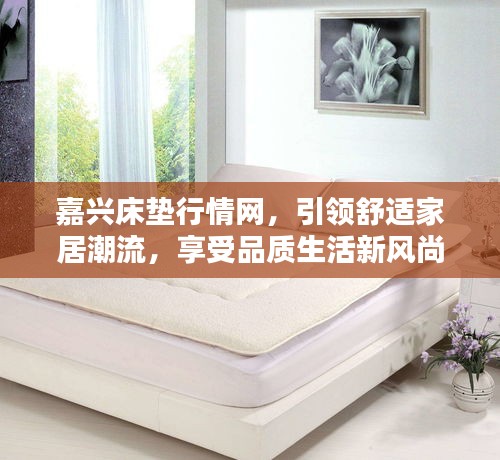 嘉興床墊行情網(wǎng)，引領(lǐng)舒適家居潮流，享受品質(zhì)生活新風(fēng)尚