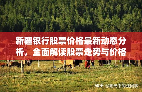 新疆銀行股票價格最新動態(tài)分析，全面解讀股票走勢與價格表