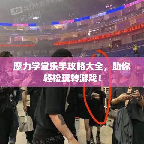 魔力學堂樂手攻略大全，助你輕松玩轉游戲！
