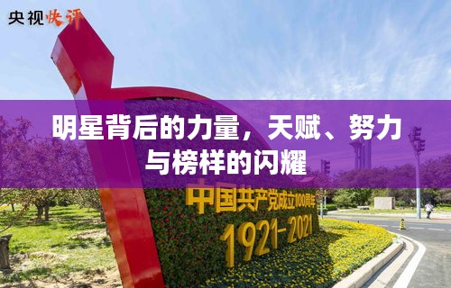 明星背后的力量，天賦、努力與榜樣的閃耀