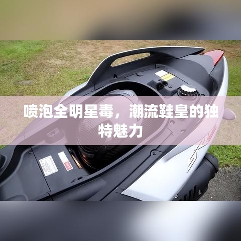 噴泡全明星毒，潮流鞋皇的獨(dú)特魅力