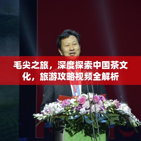 毛尖之旅，深度探索中國茶文化，旅游攻略視頻全解析