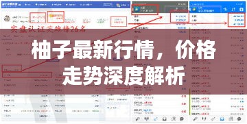 柚子最新行情，價(jià)格走勢深度解析