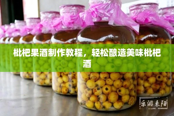 枇杷果酒制作教程，輕松釀造美味枇杷酒