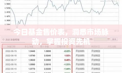 今日基金售價(jià)表，洞悉市場(chǎng)脈動(dòng)，掌握投資先機(jī)