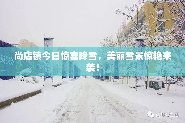 尚店鎮(zhèn)今日驚喜降雪，美麗雪景驚艷來襲！