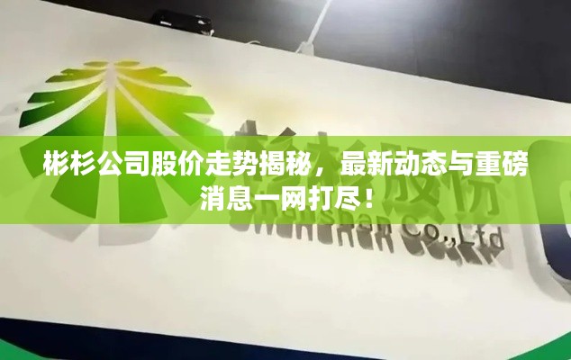 彬杉公司股價走勢揭秘，最新動態(tài)與重磅消息一網(wǎng)打盡！