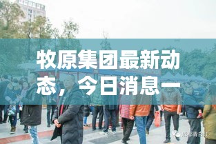 牧原集團(tuán)最新動(dòng)態(tài)，今日消息一網(wǎng)打盡