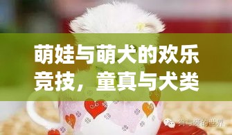 萌娃與萌犬的歡樂(lè)競(jìng)技，童真與犬類(lèi)互動(dòng)的美好瞬間視頻