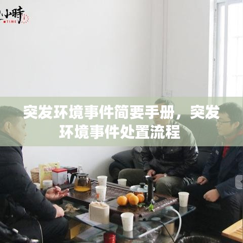 突發(fā)環(huán)境事件簡(jiǎn)要手冊(cè)，突發(fā)環(huán)境事件處置流程 