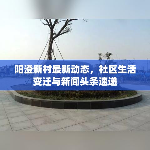 陽澄新村最新動態(tài)，社區(qū)生活變遷與新聞頭條速遞