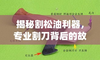 揭秘割松油利器，專業(yè)割刀背后的故事探秘