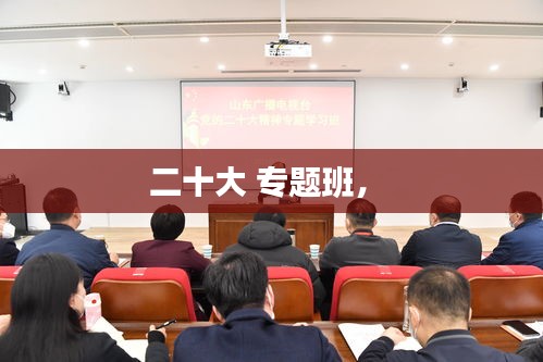 二十大 專題班， 