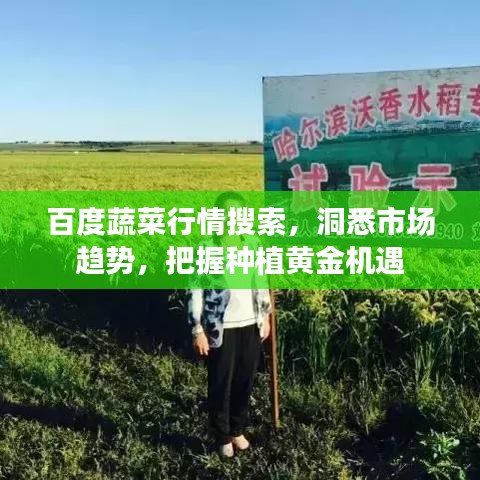 馬馬虎虎 第2頁(yè)