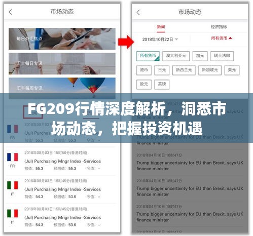 FG209行情深度解析，洞悉市場動態(tài)，把握投資機(jī)遇