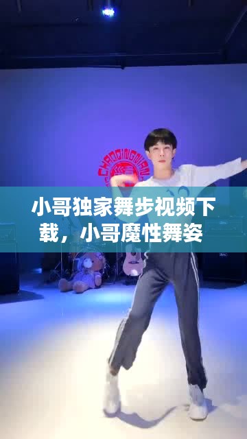 小哥獨(dú)家舞步視頻下載，小哥魔性舞姿 