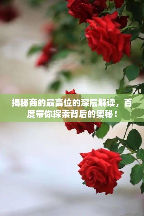 揭秘商的最高位的深層解讀，百度帶你探索背后的奧秘！