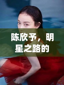 陳欣予，明星之路的閃耀之旅