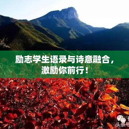 勵志學(xué)生語錄與詩意融合，激勵你前行！