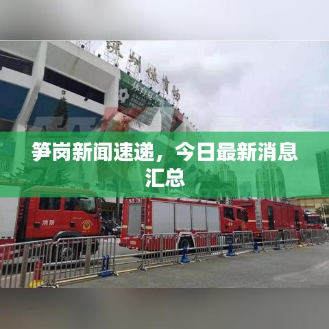 筍崗新聞速遞，今日最新消息匯總