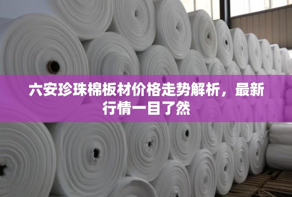 六安珍珠棉板材價格走勢解析，最新行情一目了然
