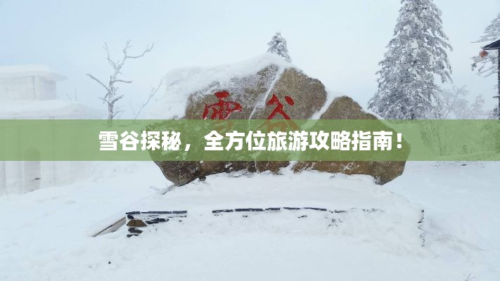 雪谷探秘，全方位旅游攻略指南！