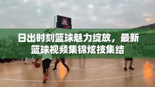 日出時(shí)刻籃球魅力綻放，最新籃球視頻集錦炫技集結(jié)