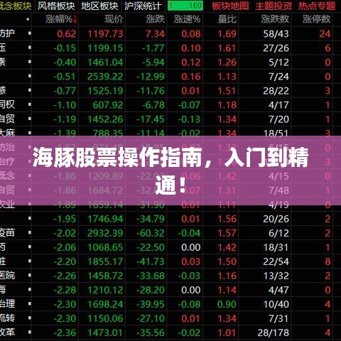 海豚股票操作指南，入門到精通！