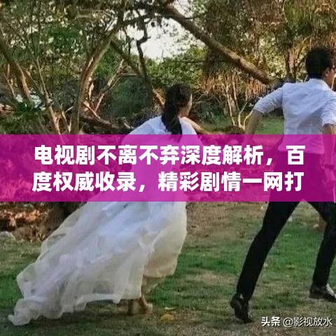 電視劇不離不棄深度解析，百度權威收錄，精彩劇情一網(wǎng)打盡！