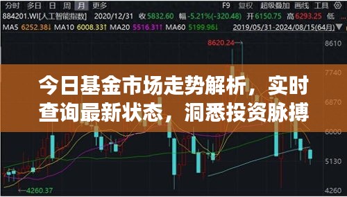 今日基金市場走勢解析，實時查詢最新狀態(tài)，洞悉投資脈搏，把握財富機遇！