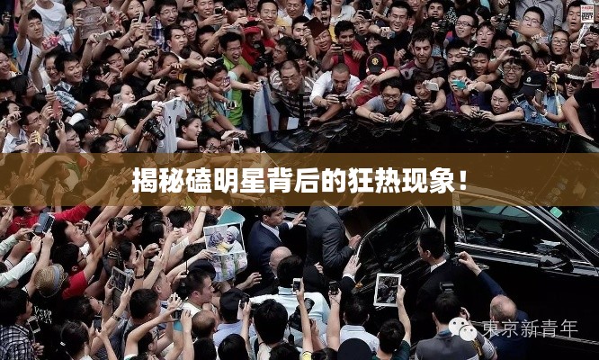 揭秘磕明星背后的狂熱現(xiàn)象！