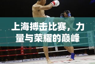 上海搏擊比賽，力量與榮耀的巔峰對(duì)決！