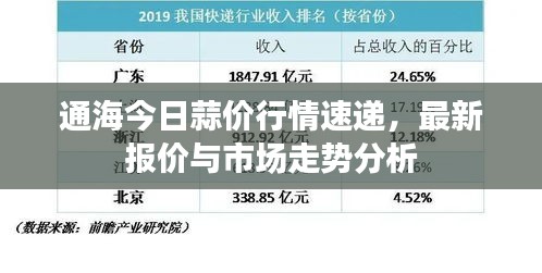 通海今日蒜價行情速遞，最新報價與市場走勢分析