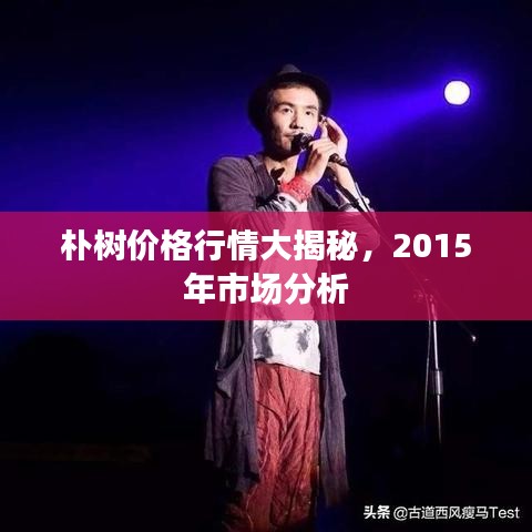 樸樹價(jià)格行情大揭秘，2015年市場(chǎng)分析