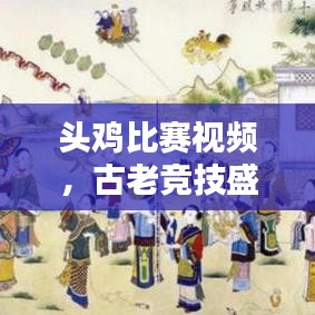頭雞比賽視頻，古老競技盛宴再現(xiàn)輝煌！