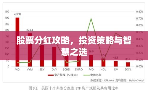 股票分紅攻略，投資策略與智慧之選