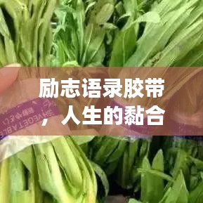 勵(lì)志語(yǔ)錄膠帶，人生的黏合劑，引領(lǐng)你走向成功之路