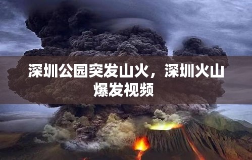 深圳公園突發(fā)山火，深圳火山爆發(fā)視頻 