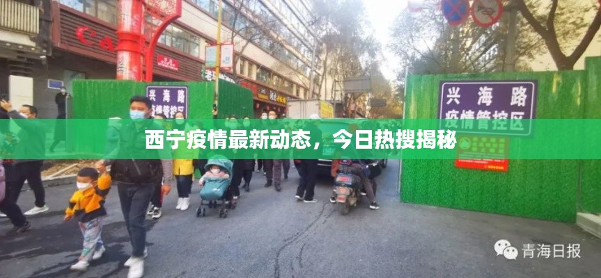 西寧疫情最新動(dòng)態(tài)，今日熱搜揭秘