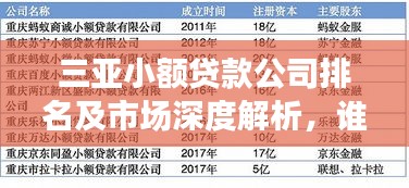 三亞小額貸款公司排名及市場深度解析，誰是行業(yè)佼佼者？