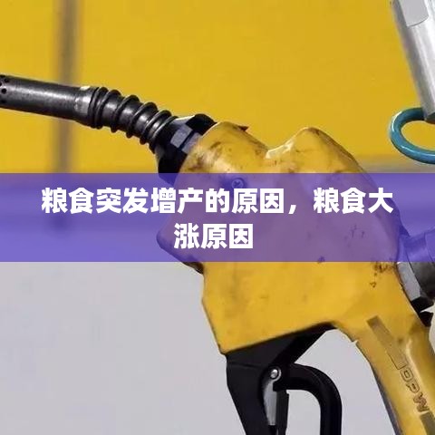 糧食突發(fā)增產(chǎn)的原因，糧食大漲原因 