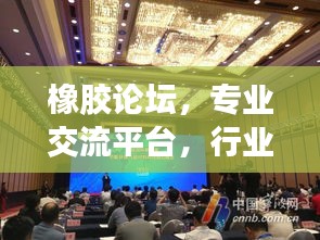 橡膠論壇，專業(yè)交流平臺，行業(yè)精英齊聚一堂