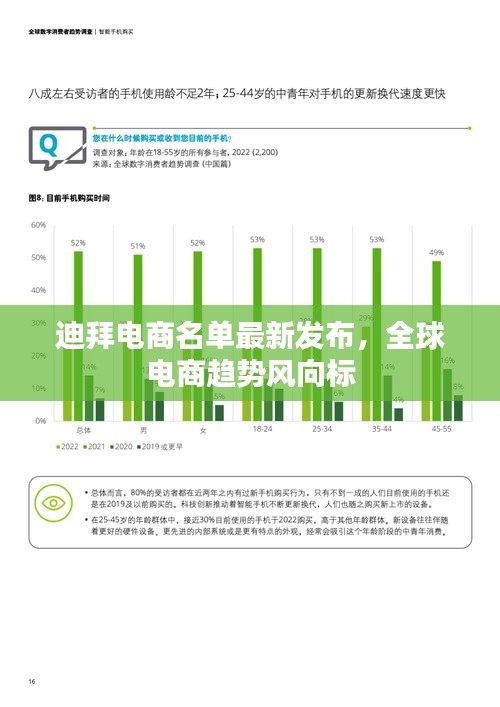 迪拜電商名單最新發(fā)布，全球電商趨勢(shì)風(fēng)向標(biāo)