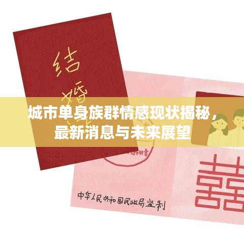 城市單身族群情感現(xiàn)狀揭秘，最新消息與未來展望