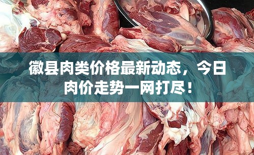 徽縣肉類價(jià)格最新動(dòng)態(tài)，今日肉價(jià)走勢(shì)一網(wǎng)打盡！