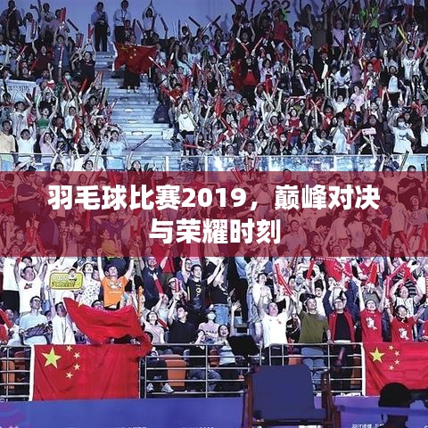 羽毛球比賽2019，巔峰對決與榮耀時刻