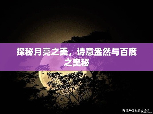 探秘月亮之美，詩意盎然與百度之奧秘