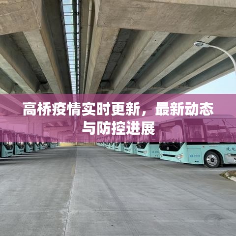 高橋疫情實時更新，最新動態(tài)與防控進展