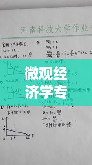 微觀經(jīng)濟(jì)學(xué)專題論述題型，微觀經(jīng)濟(jì)學(xué)期末考試論述題 
